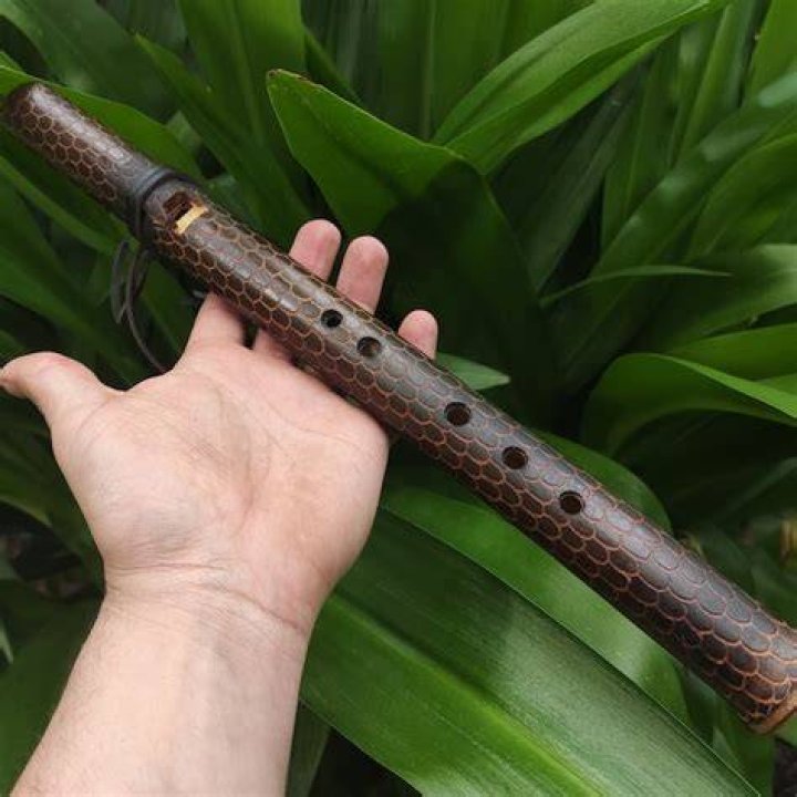 Definitions of skin flute - OneLook