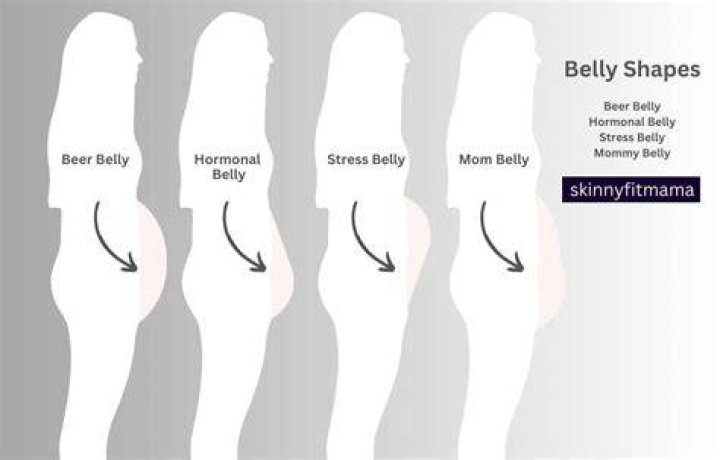 Definitions of taut belly - OneLook