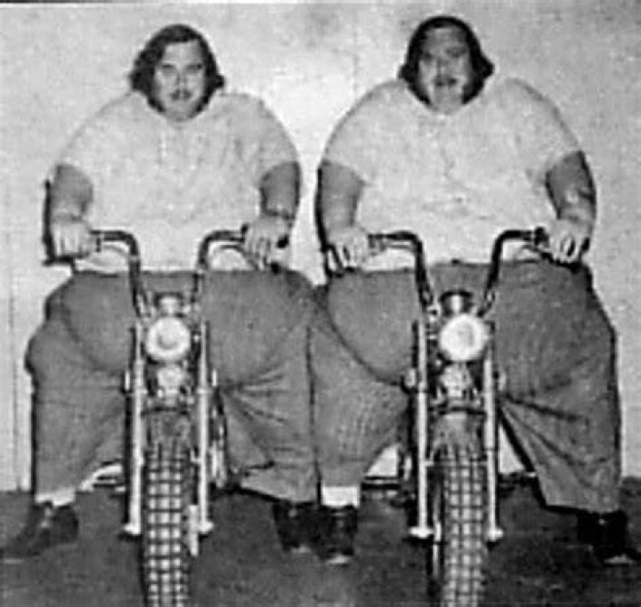 Definitions of The McGuire Twins