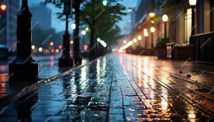 Definitions of wet night - OneLook