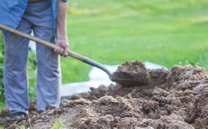 Digging In Soil 