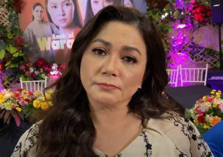 Dina Bonnevie Admits Issue w/ Coney Reyes Before Due To Vic Sotto