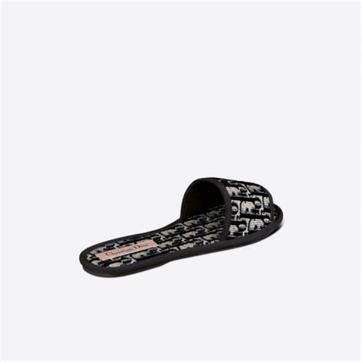 Dior Chez Moi Slide