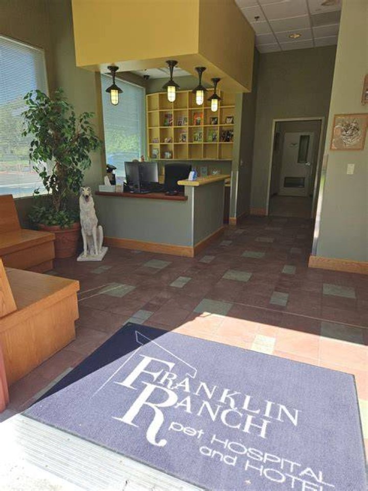 Discovering Compassionate Care At Franklin Ranch Pet Hospital