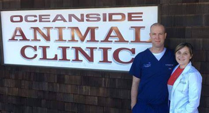 Discovering Excellence At Oceanside Animal Clinic