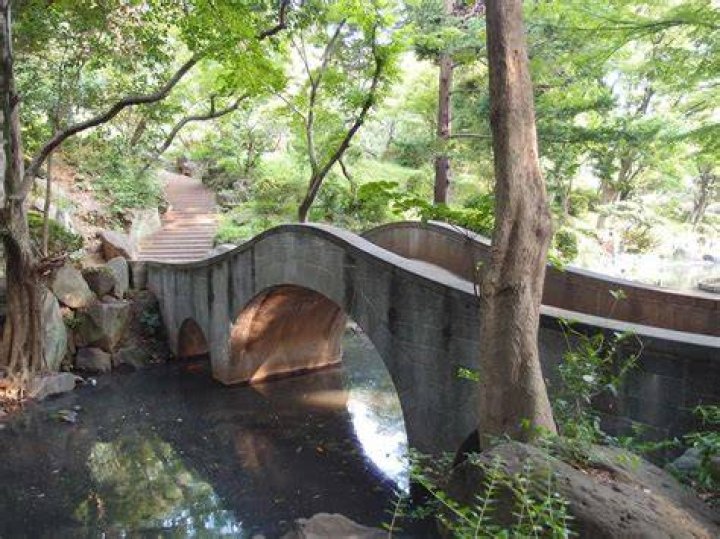 Discovering The Hidden Gem Of Washington Ave Memorial Park