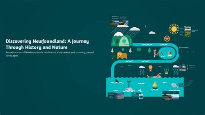 Discovering The Journey Of McKinley Richardson Of Free