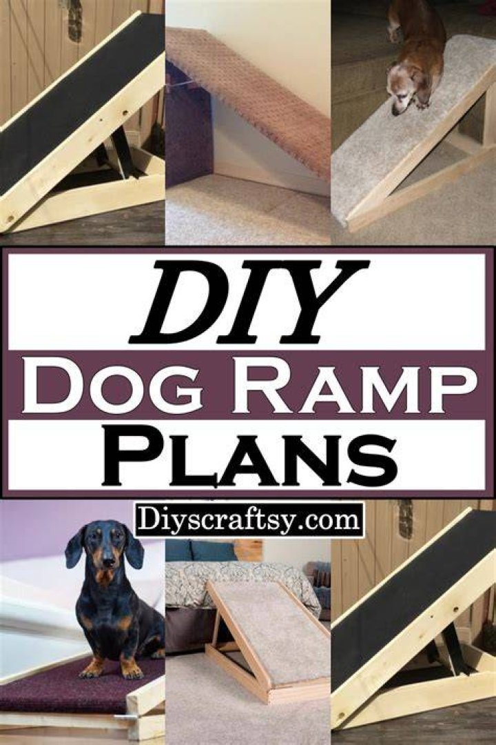 DIY Dog Ramp