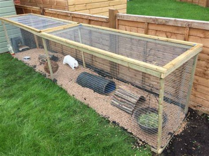 diy rabbit run plans