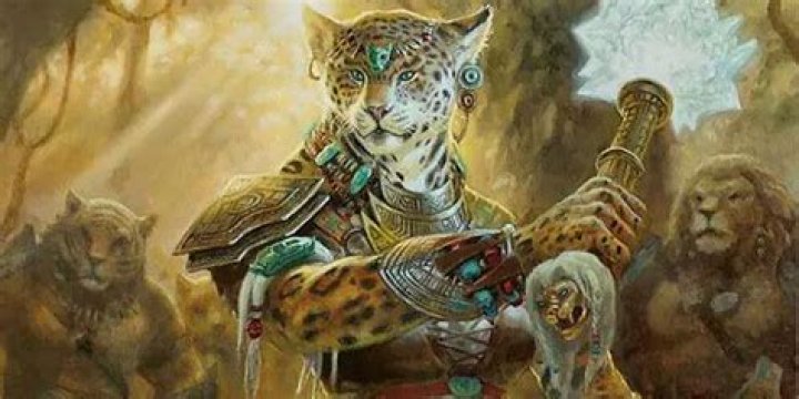 DnD 5e Tabaxi Race, Abilities & Names, Explained CBR
