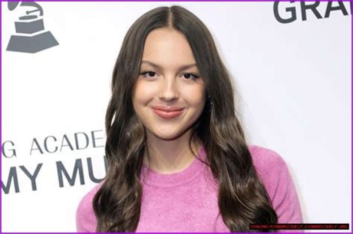 Does Olivia Rodrigo Have A Brother? Exploring Her Family Background
