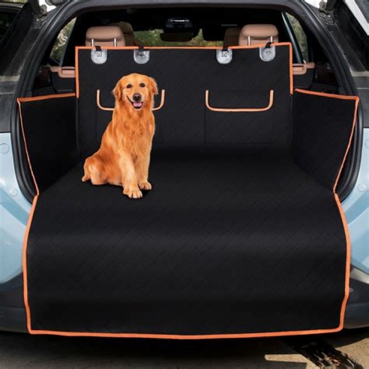 Dog Back Seat Cover Protector Ecomm Via Amazon.com