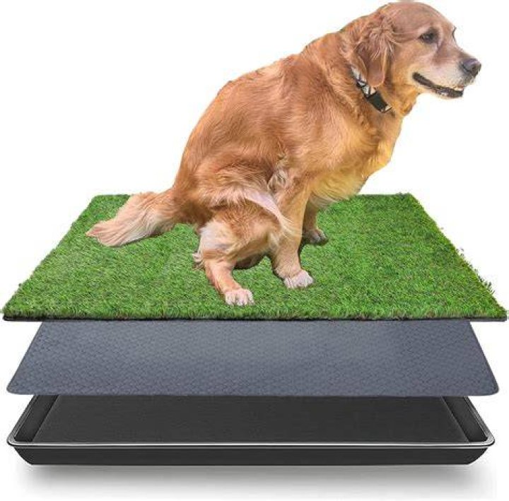 Dog grass pee pads for potty training a puppy at home or apartment