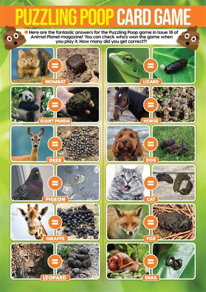 Dog Poo Match