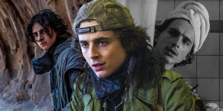 Don't Look Up Confirms Timothée Chalamet Won 2021 Movies