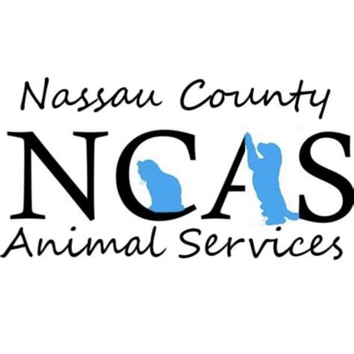 Donate to Nassau County Animal Services Kuranda ShelterBeds