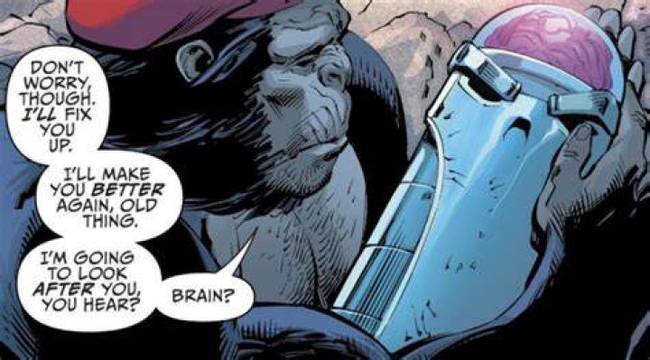 Doom Patrol the Brain Monsieur Mallah