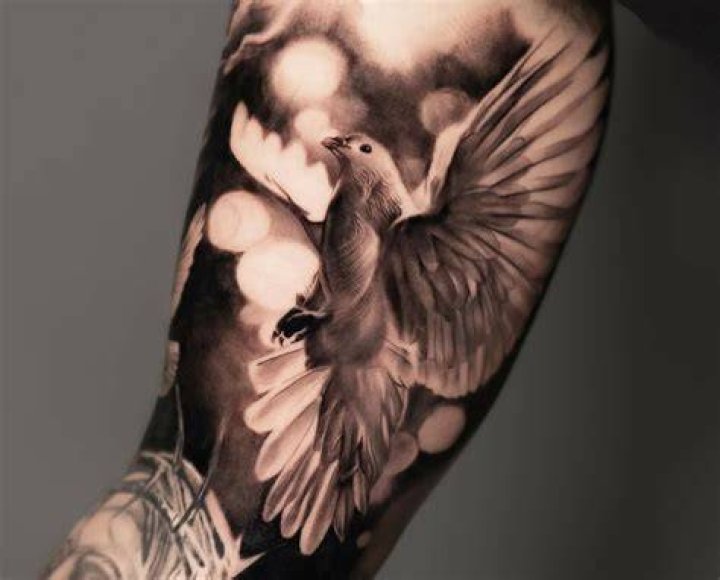 Dove tattoo