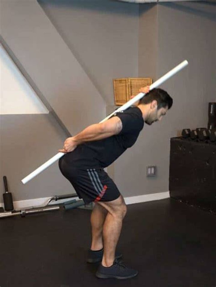 dowel hip hinge
