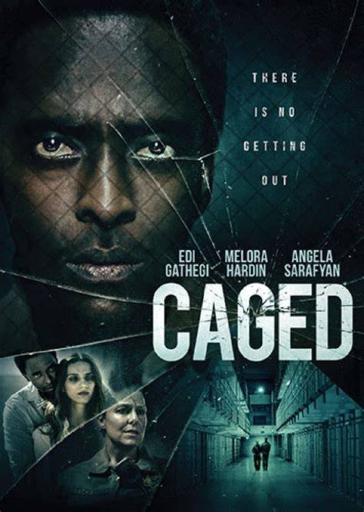 Dr Harlow Reid Fan Casting for Caged(2021) | myCast