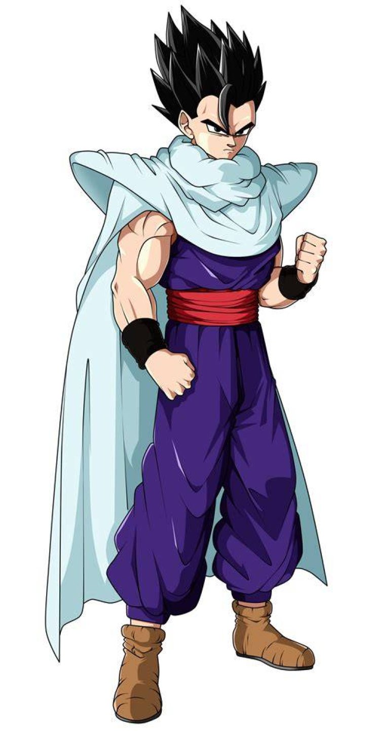Dragon Ball Super Hero Gohan and Pan