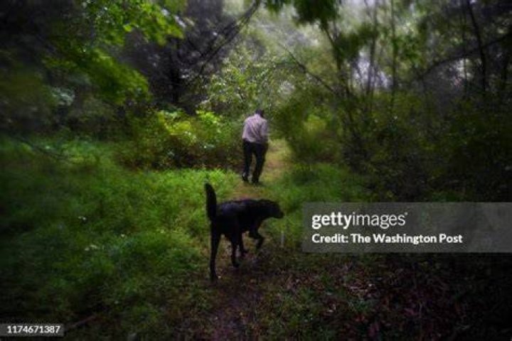 Drew Miller walks the heavily wooded Fortitude Ranch grounds followed by a guard dog. Photo / Washington Post