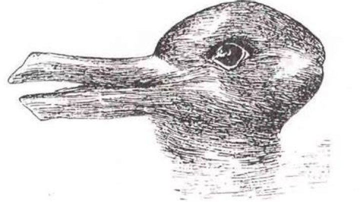 Duck or rabbit? What this optical illusion says about you