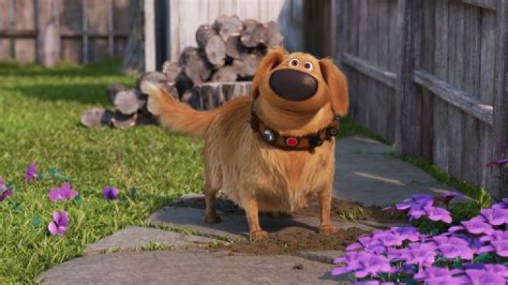 Dug in Up