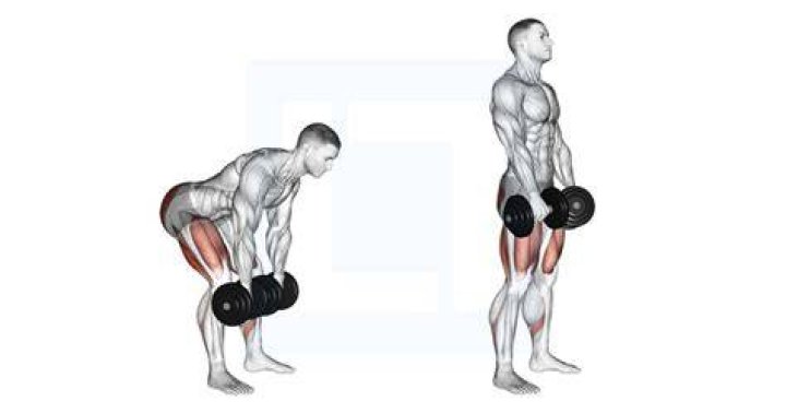 dumbbell romanian deadlift