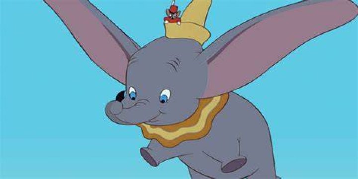 dumbo