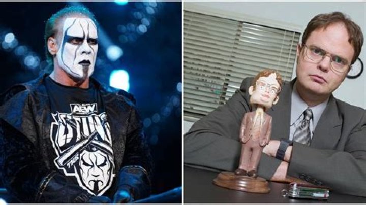 Dwight From The Office Wants A Match With Sting
