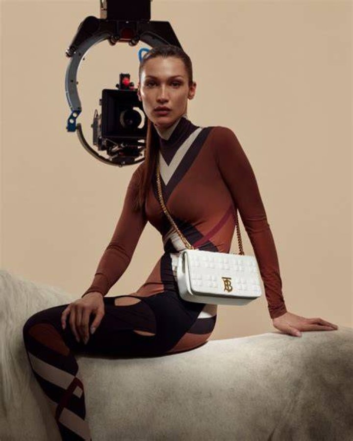 ella Hadid in Burberry