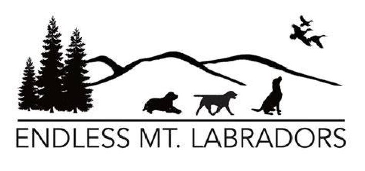 endless mountain labradors logo