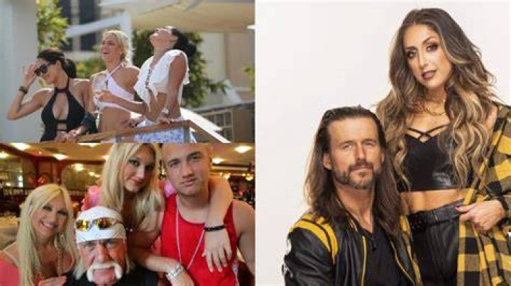 Every Wrestling Reality TV Show, Ranked Worst To Best