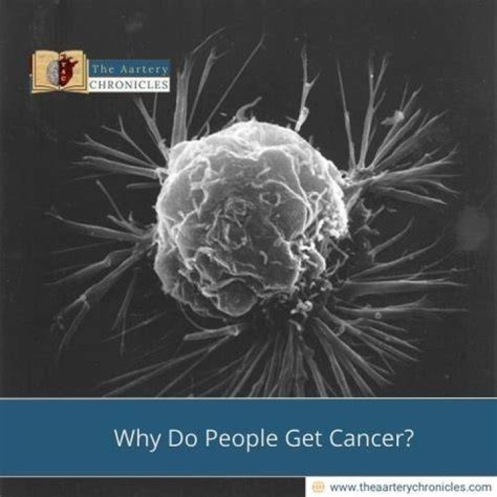 Explainer: Why do people get cancer?