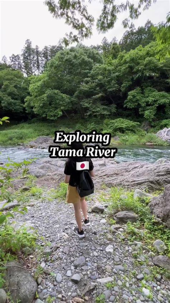 Exploring Lexi River: A Hidden Gem In Nature