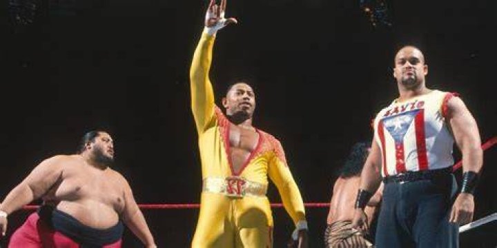 Faarooq, Vader, Razor Ramon, &amp; Diesel vs Savio Vega, Flash Funk, Yokozuna, &amp; Jimmy Snuka