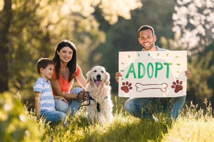 family adopting dog