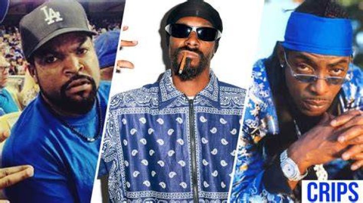 famous bloods and crips famous bloods and crips