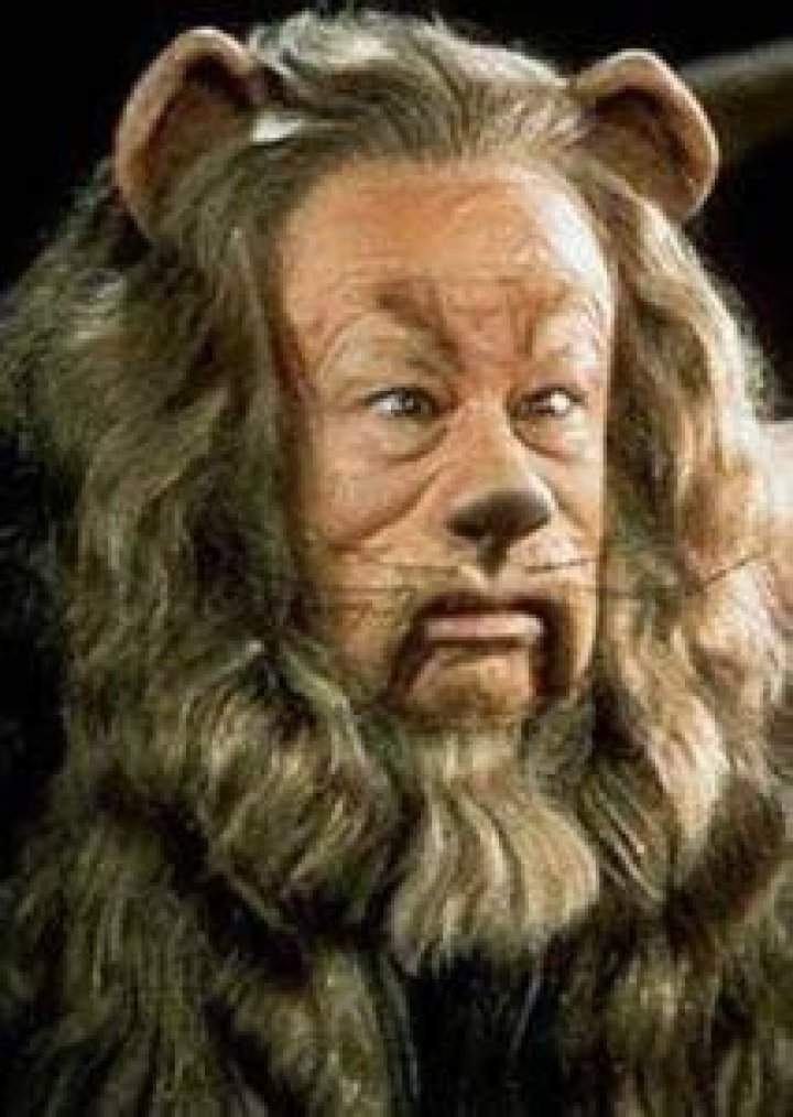 Fan Casting Adam Devine as The Cowardly Lion in The Wizard of Oz on myCast