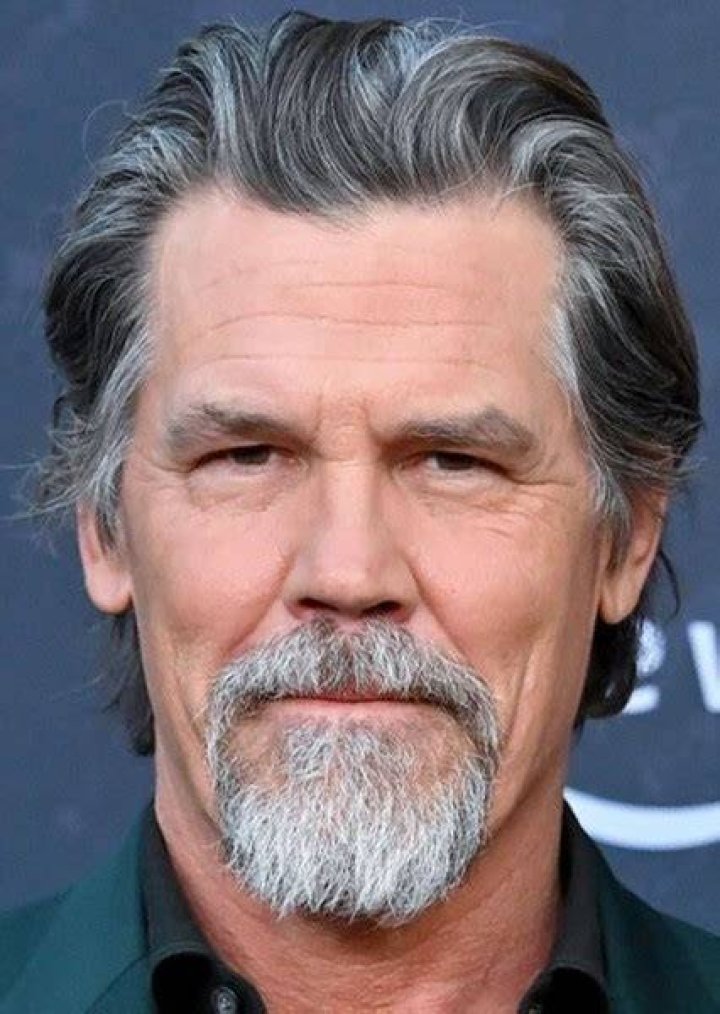 Fan Casting Josh Brolin as Ganondorf in The Legend of Zelda on myCast