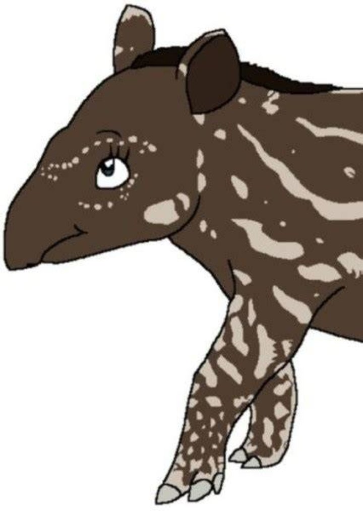 Fan Casting Munna (Pokemon) as Tapir in Fictional animals by species on myCast