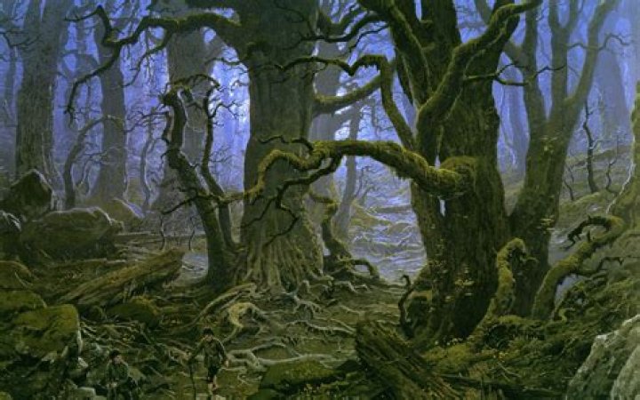 Fangorn Forest in Lord of the Rings