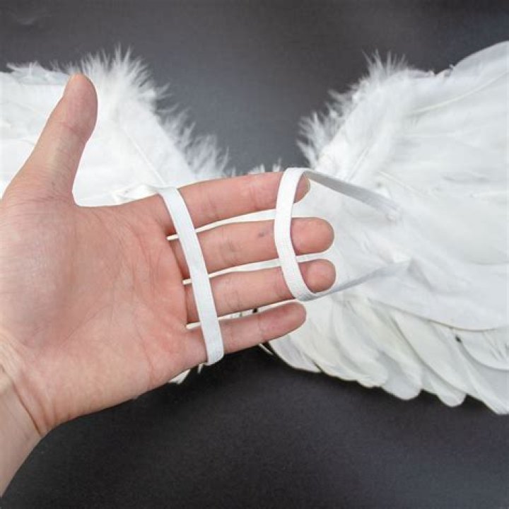 Feather, Wing, Angel, Performance, Fun, Photography, Fashion accessory, Long hair, Performance art, Black hair, 