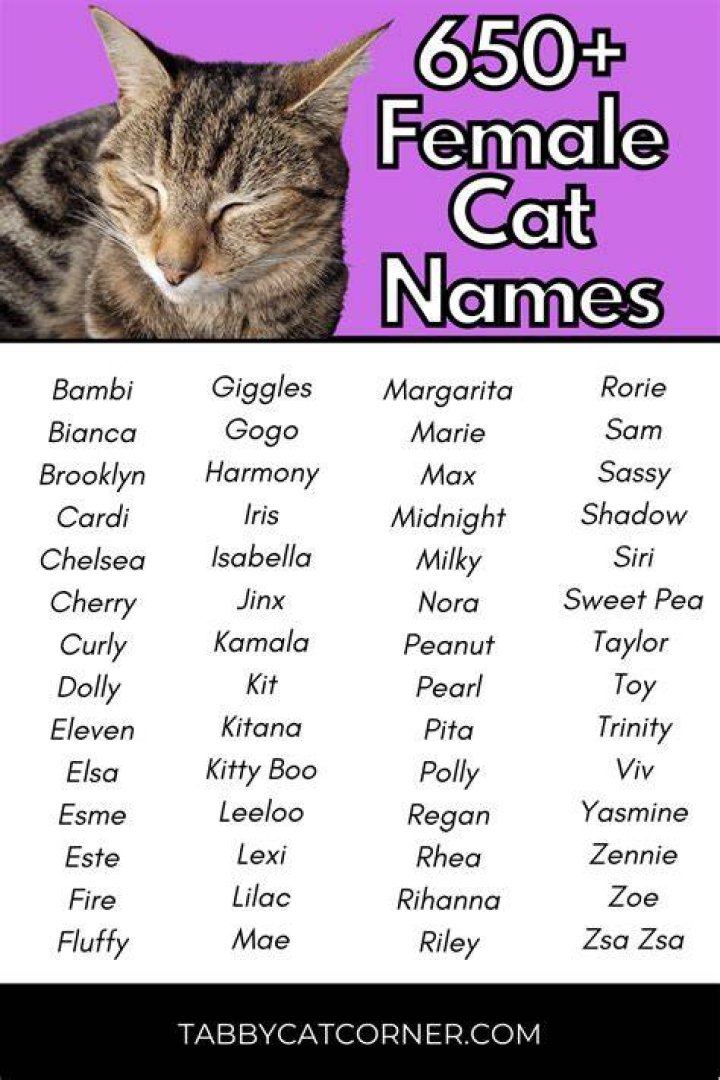 Female Cat Names