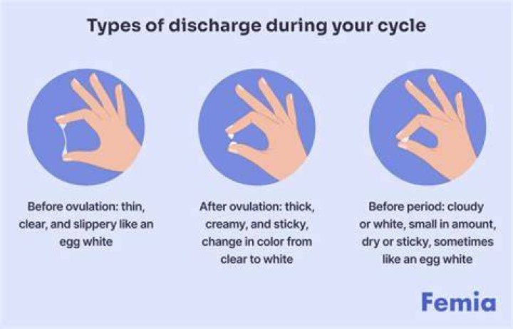 Female Discharge During Fasting - Statcare