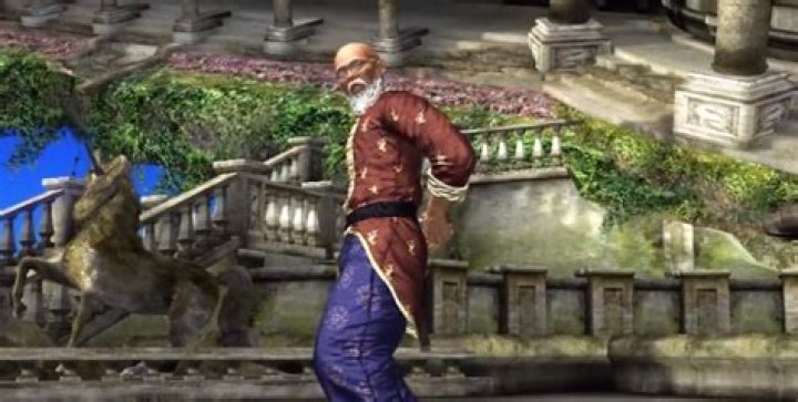 Feng Wei and Wang Jinrei Kung Fu Masters From The Tekken Series