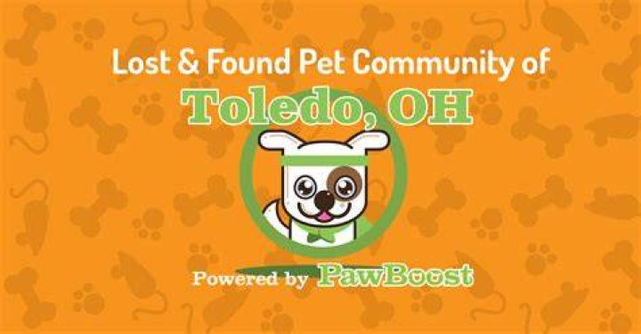 Find Your Furry Friend: Lost Pets In Toledo, Ohio