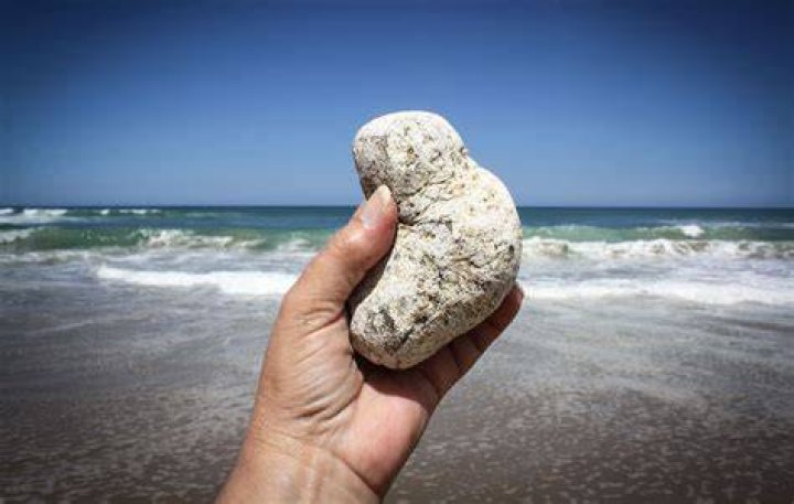 Finding Ambergris on a New Zealand beach is a once-in-a-lifetime occurrence. Photo / File