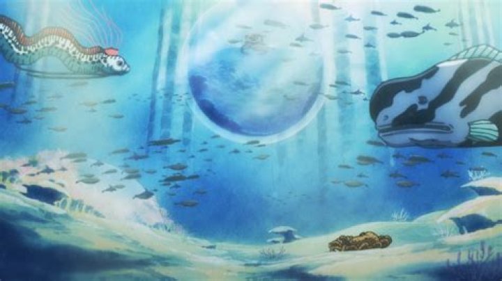 Fishman Island in One Piece